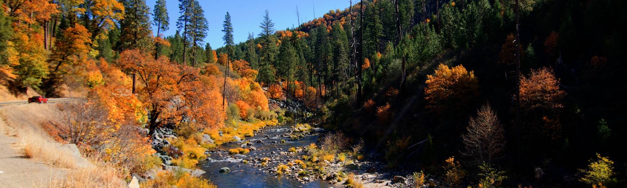 Fall Leaves in Lake Tahoe Fall Leaves in Lake Tahoe