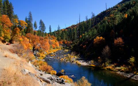 Fall Leaves in Lake Tahoe